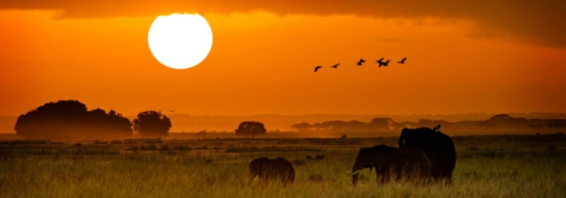 Kenya, Seaclub 7 Island Resort 4*
